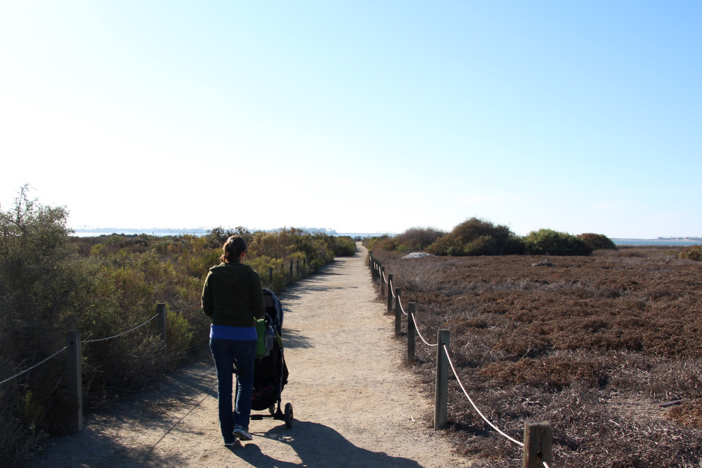 Trail to the Bay - Living Coast Discovery Center