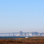 San Diego Skyline - Living Coast Discovery Center