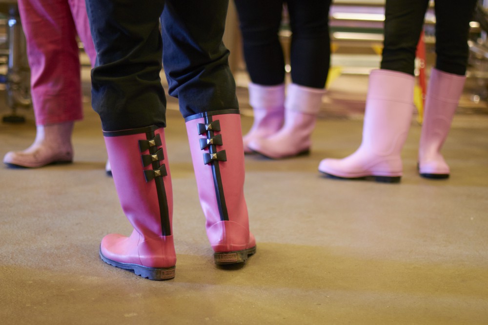 Pink Boots Society