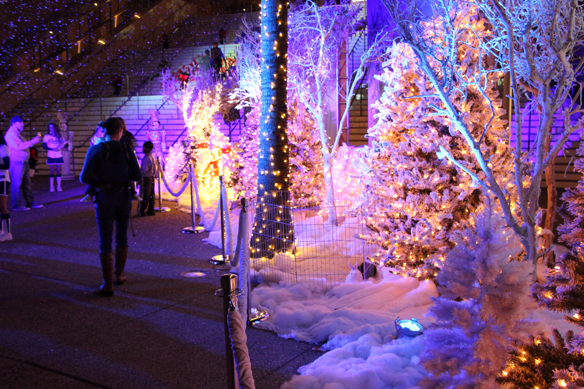 2015 San Diego Holiday Events Holiday Wonderland Petco Park Santa