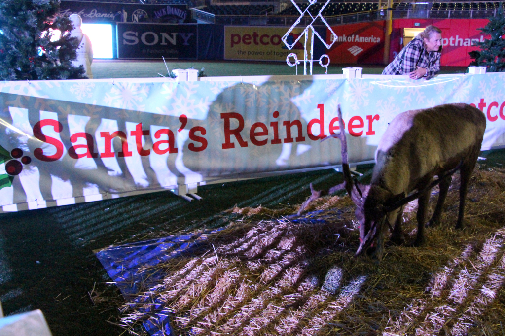 Santa's Reindeer - Holiday Wonderland at Petco Park