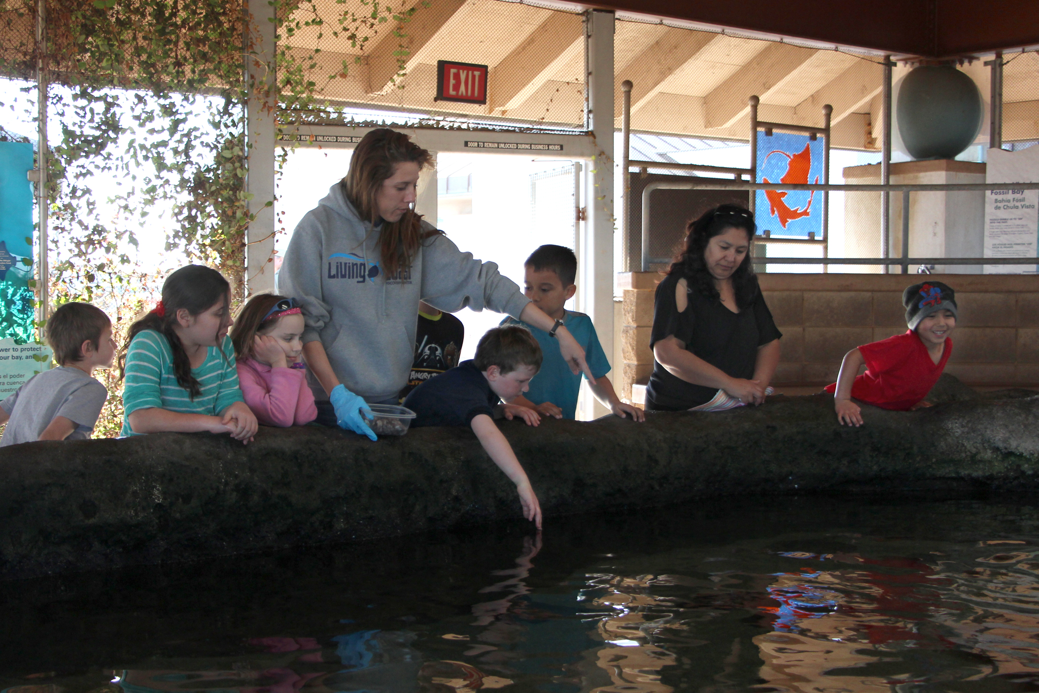 Touching Pool - Living Coast Discovery Center
